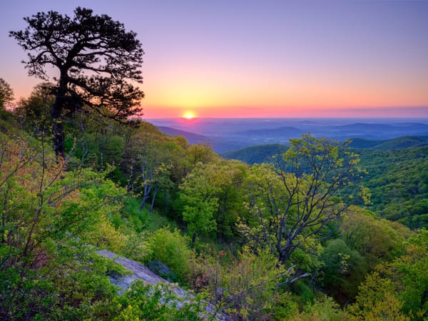Sunrise view from Hazel Mountain Overlook in Shenandoah National Park, with vibrant green trees and a glowing pink horizon.