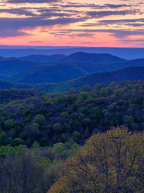 Sunset over forested mountains in Shenandoah National Park, with trees in the foreground and a past